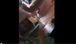 Ông Tây không mũ bảo hiểm chặn xe tải chạy ngược chiều ở Hà Nội